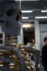 Biologie.jpg